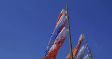 Ryujin 'de sazan bayrakları. Ibaraki' de gündüz güneşli bir köprüde.