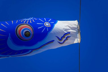 Tokyo gündüz güneşli parkta sazan streamer