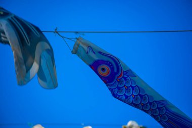 Tokyo gündüz güneşli parkta sazan streamer