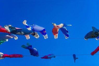 Tokyo gündüz güneşli parkta sazan streamer