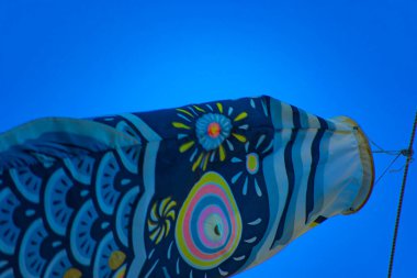 Tokyo gündüz güneşli parkta sazan streamer