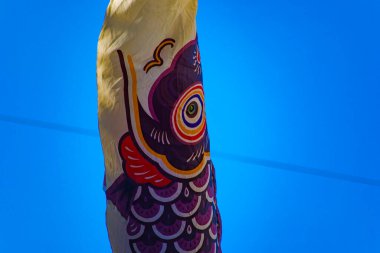 Tokyo gündüz güneşli parkta sazan streamer