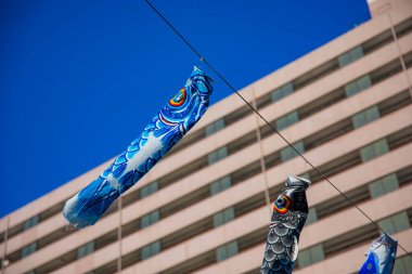 Tokyo gündüz güneşli parkta sazan streamer