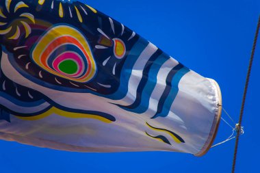 Tokyo gündüz güneşli parkta sazan streamer