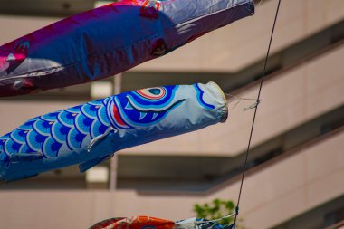 Tokyo gündüz güneşli parkta sazan streamer