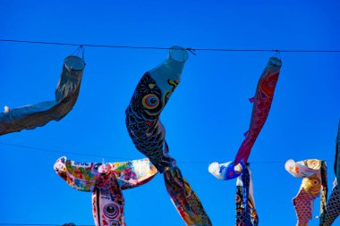 Tokyo gündüz güneşli parkta sazan streamer