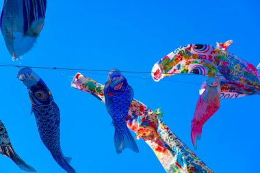 Tokyo gündüz güneşli parkta sazan streamer