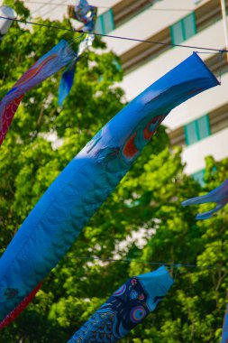 Tokyo gündüz güneşli parkta sazan streamer