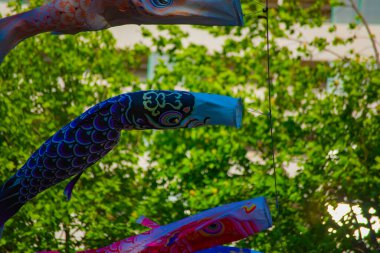 Tokyo gündüz güneşli parkta sazan streamer