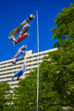 Tokyo gündüz güneşli parkta sazan streamer