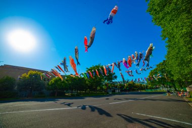 Tokyo gündüz güneşli parkta sazan streamer