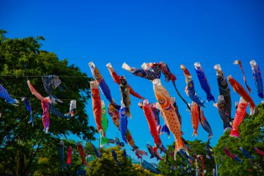 Tokyo gündüz güneşli parkta sazan streamer