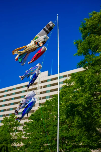 Tokyo gündüz güneşli parkta sazan streamer