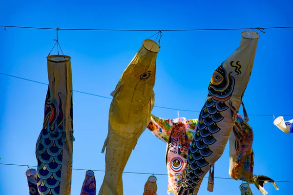 Tokyo gündüz güneşli parkta sazan streamer