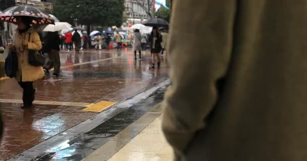 Spaziergänger am Shibuya-Übergang bei Tokyo-Regen — Stockvideo