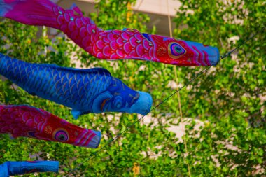 Tokyo gündüz güneşli parkta sazan streamer