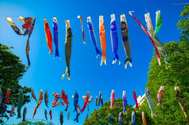 Tokyo gündüz güneşli parkta sazan streamer