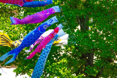 Tokyo gündüz güneşli parkta sazan streamer