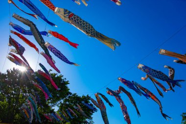 Tokyo gündüz güneşli parkta sazan streamer