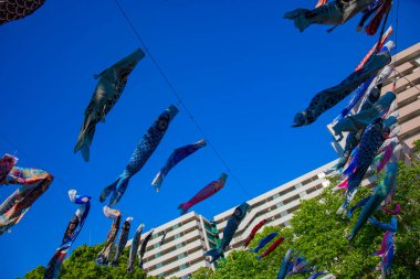 Tokyo gündüz güneşli parkta sazan streamer