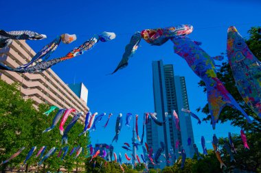 Tokyo gündüz güneşli parkta sazan streamer