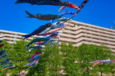 Tokyo gündüz güneşli parkta sazan streamer