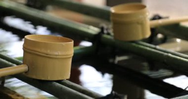 Tokyo Hie tapınağında arıtma çukur