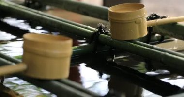Tokyo Hie tapınağında arıtma çukur