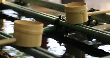 Tokyo Hie tapınağında arıtma çukur