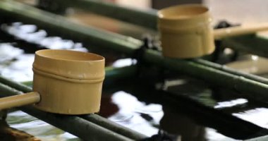 Tokyo Hie tapınağında arıtma çukur