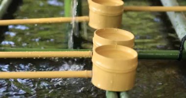 Tokyo Hie tapınağında arıtma çukur