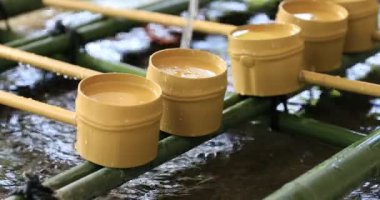 Tokyo Hie tapınağında arıtma çukur