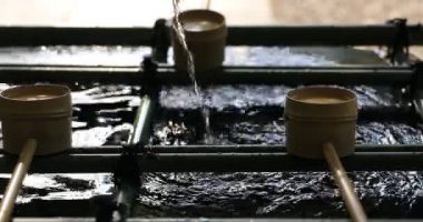 Tokyo Hie tapınağında arıtma çukur