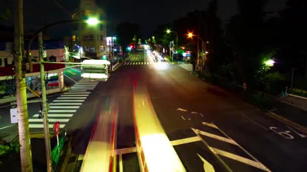 A timelapse of the downtown street in Tokyo slow shutter wide shot panning — Stock Video