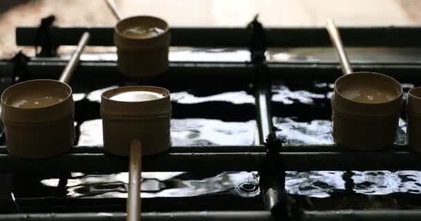 Purification au sanctuaire de Hie à Tokyo — Video