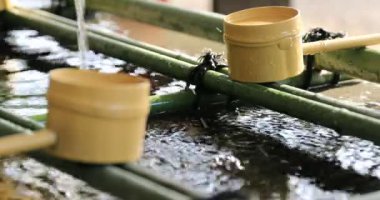 Tokyo Hie tapınağında arıtma çukur