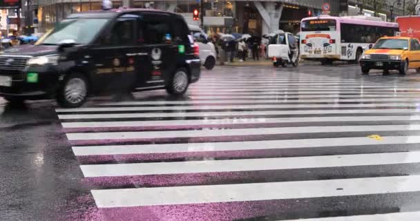 Déplacement de voitures et de personnes à pied au passage Shibuya à Tokyo jour de pluie — Video