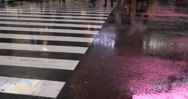 Camminare a Shibuya attraversando a Tokyo giorno di pioggia — Video Stock