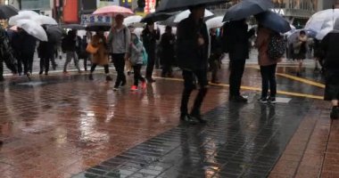 Tokyo yağmurlu bir günde Shibuya geçişinde yürüyüş insanlar