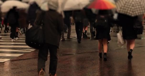 Caminando gente en Shibuya cruzando en Tokio día lluvioso — Vídeos de Stock