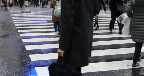 Walking people at Shibuya crossing in Tokyo rainy day — Stock Video