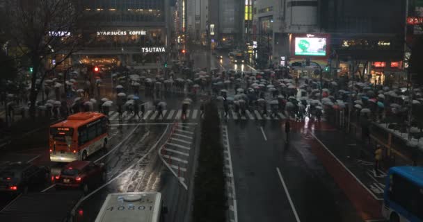 東京の渋谷交差点を歩く人たち 雨の日の高い角度 — ストック動画