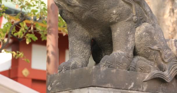 Estátua cão guardião no santuário de Kanda em Tóquio tilt — Vídeo de Stock