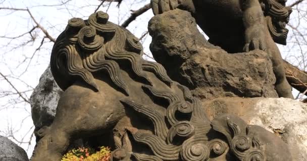 Statue guardian dog at Kanda shrine in Tokyo panning — Vídeo de stock