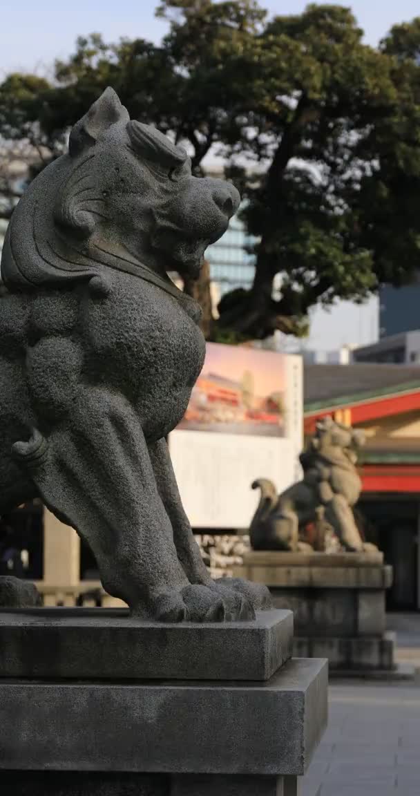 Estatua guardián perro en Kanda santuario en Tokio tiro vertical — Vídeo de stock