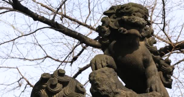 Άγαλμα φύλακας σκύλος στο ιερό Kanda στο Τόκιο κλίση — Αρχείο Βίντεο