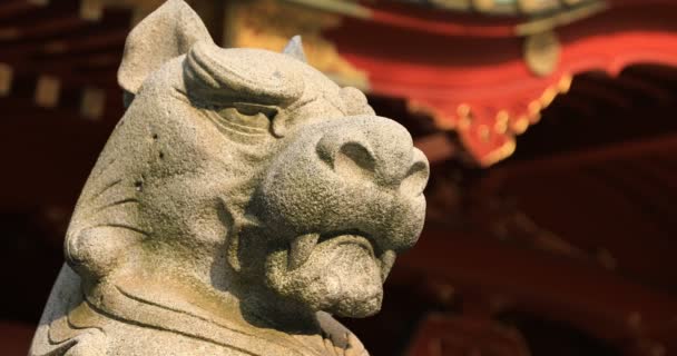 Statue guardian dog at Kanda shrine in Tokyo panning — Wideo stockowe