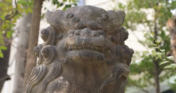 Statue guardian dog at Kanda shrine in Tokyo tilt — Stock video