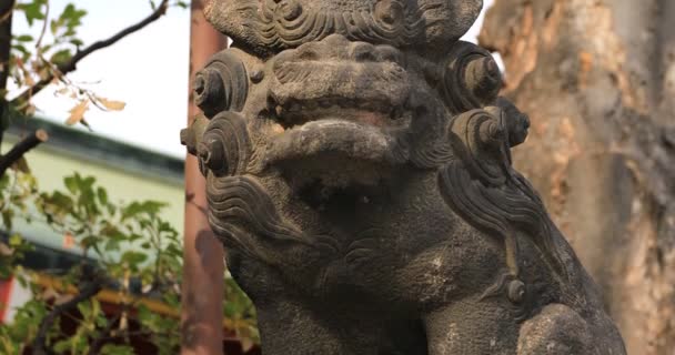 Statue guardian dog at Kanda shrine in Tokyo tilt — ストック動画