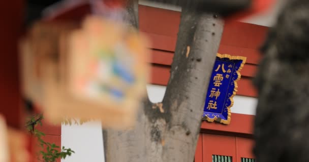 Tokyo 'daki Kanda miyojin tapınağındaki adak tabletleri — Stok video